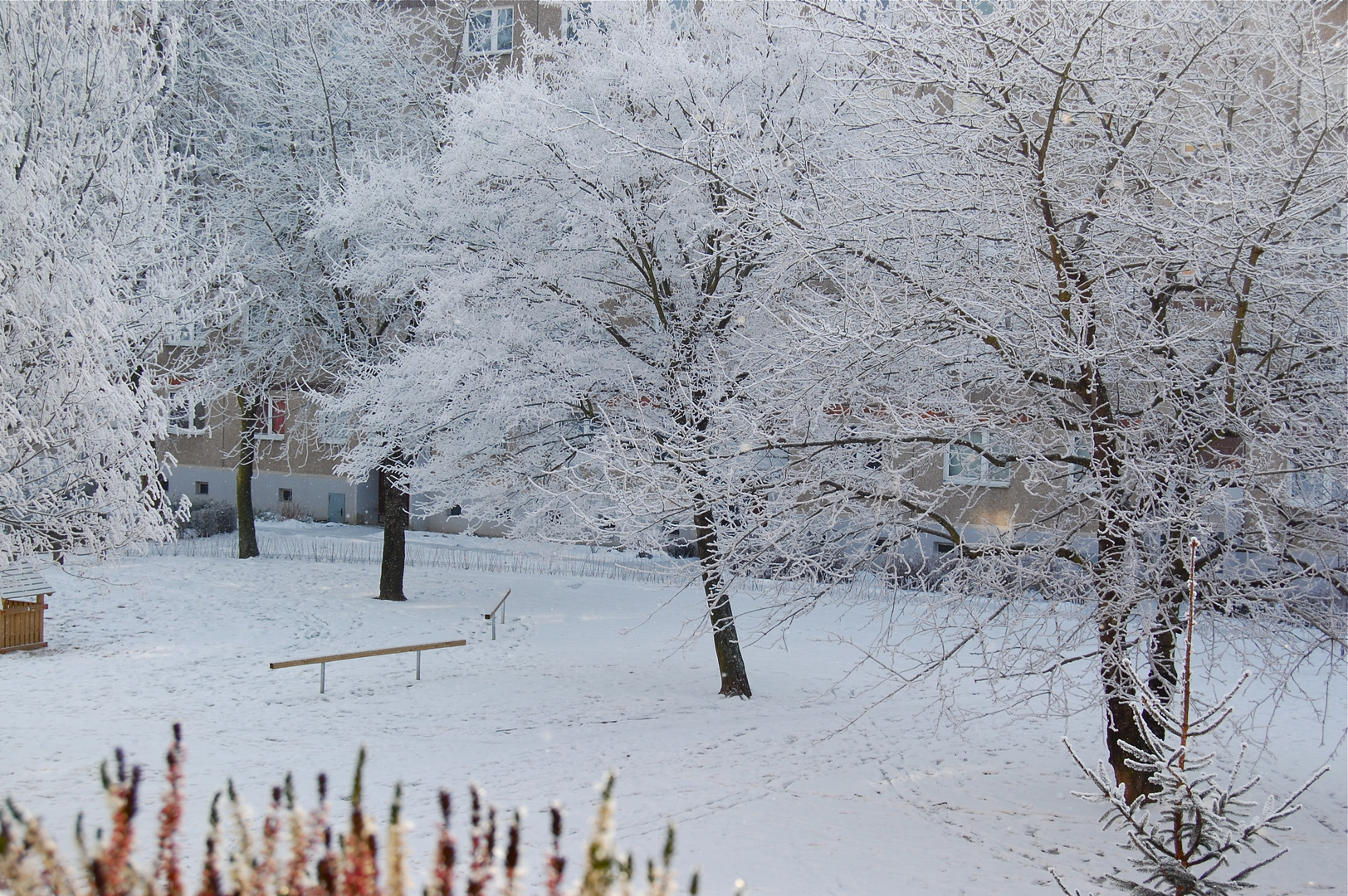 Überraschung heute Morgen (2)