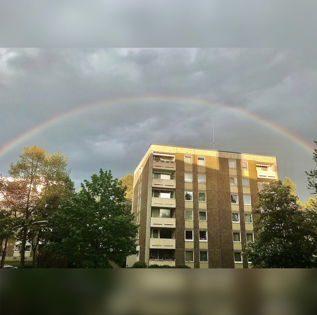 Überraschung nach dem Regen