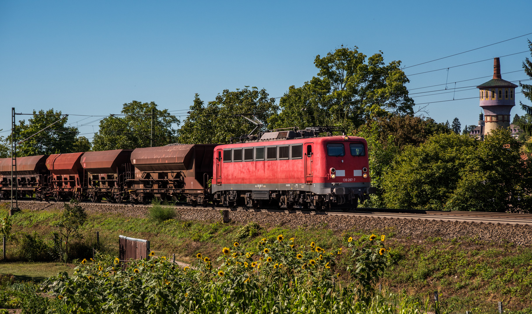 Überraschungsgast 