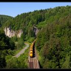 Überraschungsgast im Pegnitztal