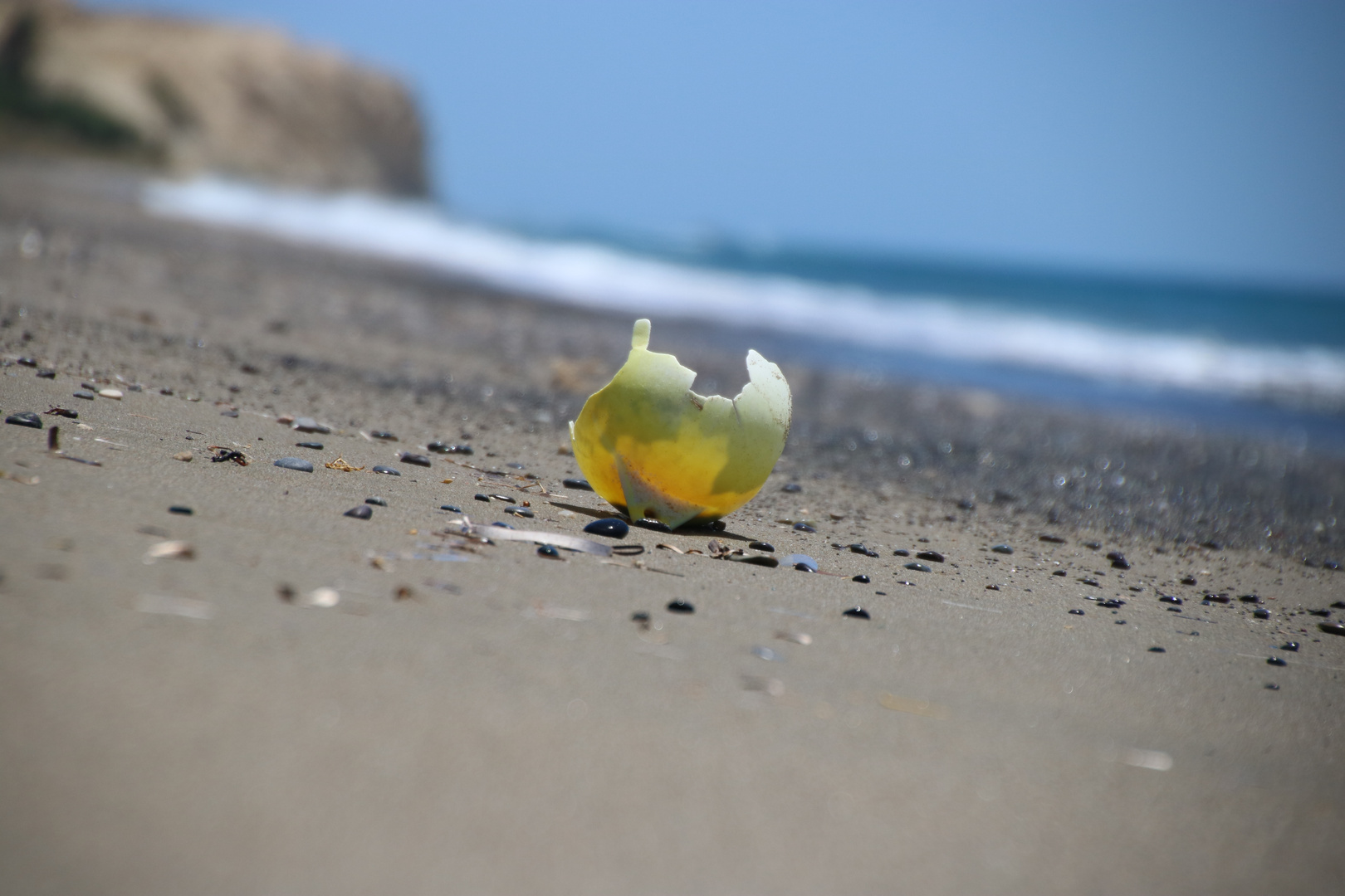 Überreste am Strand