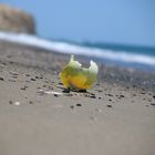 Überreste am Strand