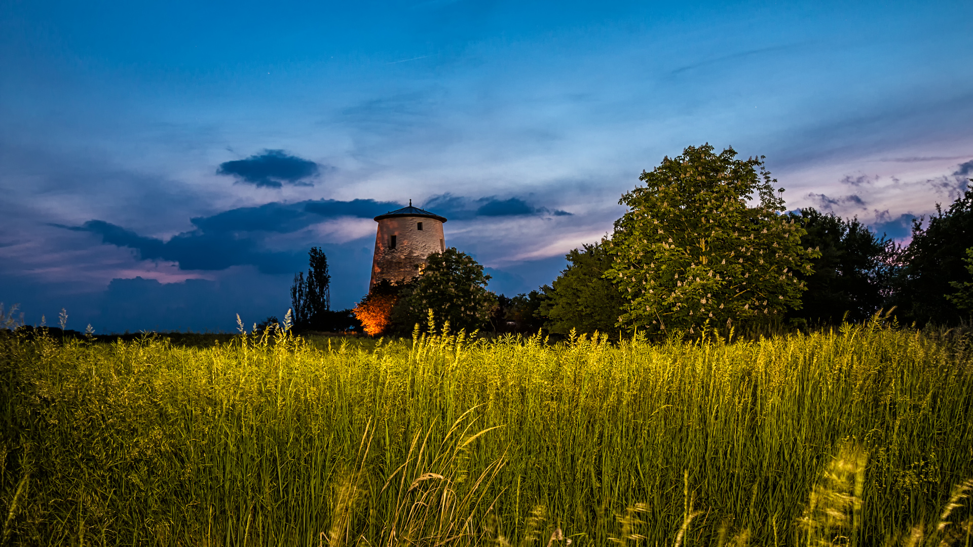 Über's Feld geschaut