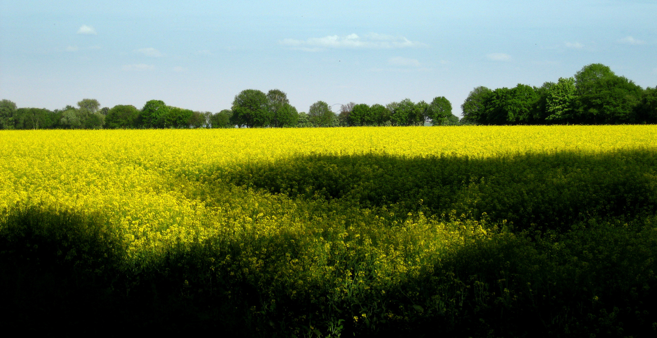 Übers Feld geschaut