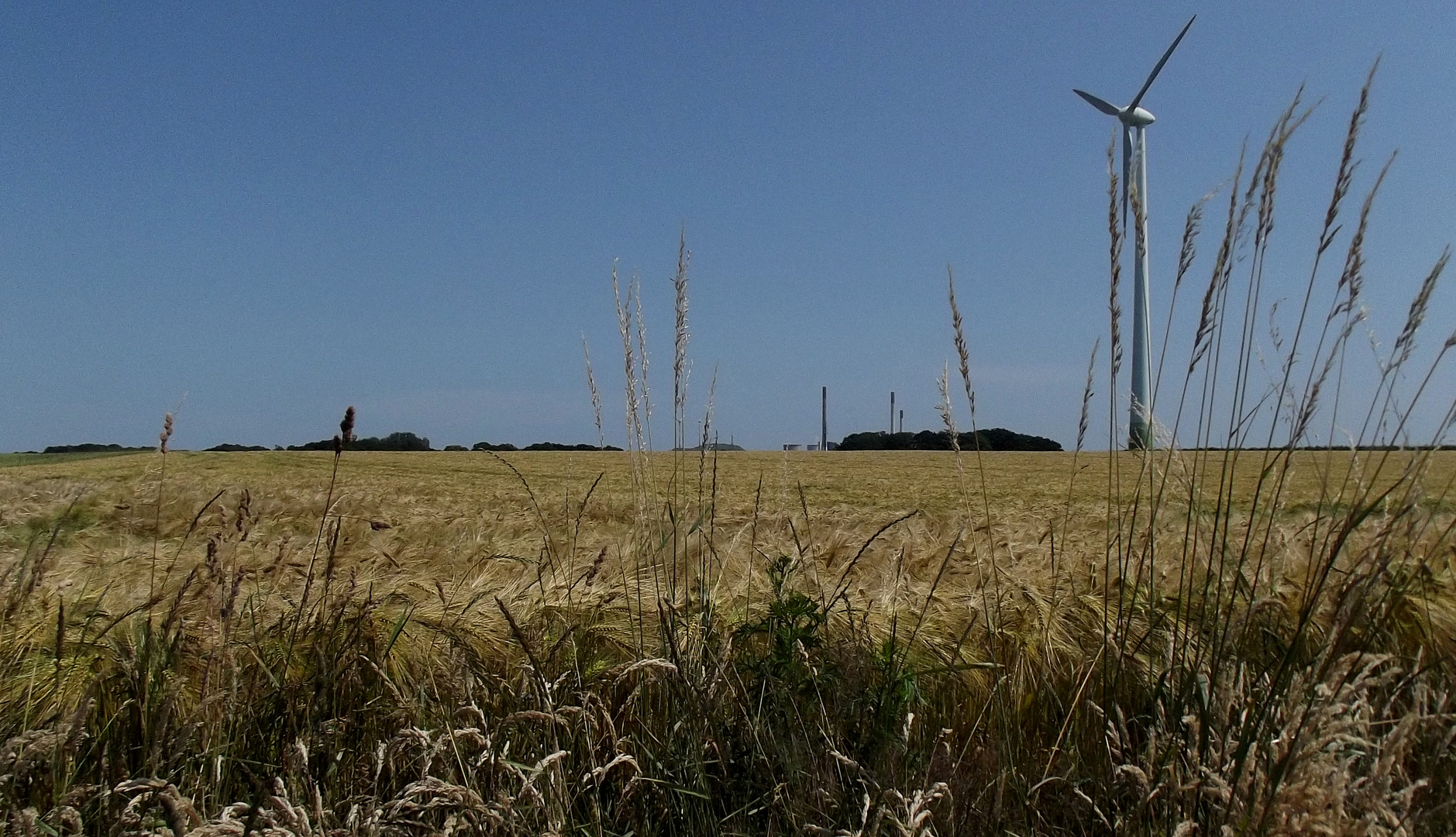 Übers Feld geschaut