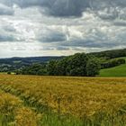 Übers Feld geschaut.