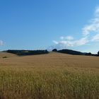 Übers Feld geschaut