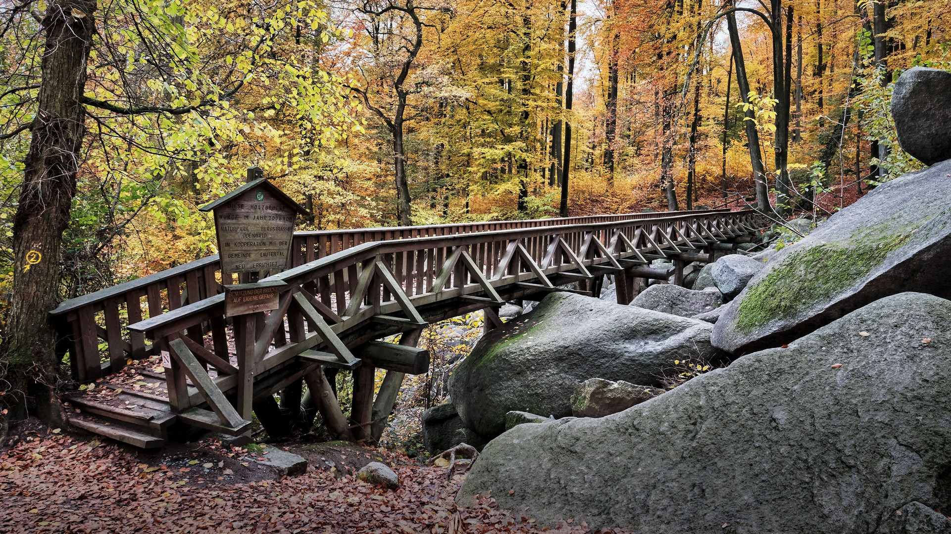 Übers Felsenmeer (Lautertal) | Odenwald