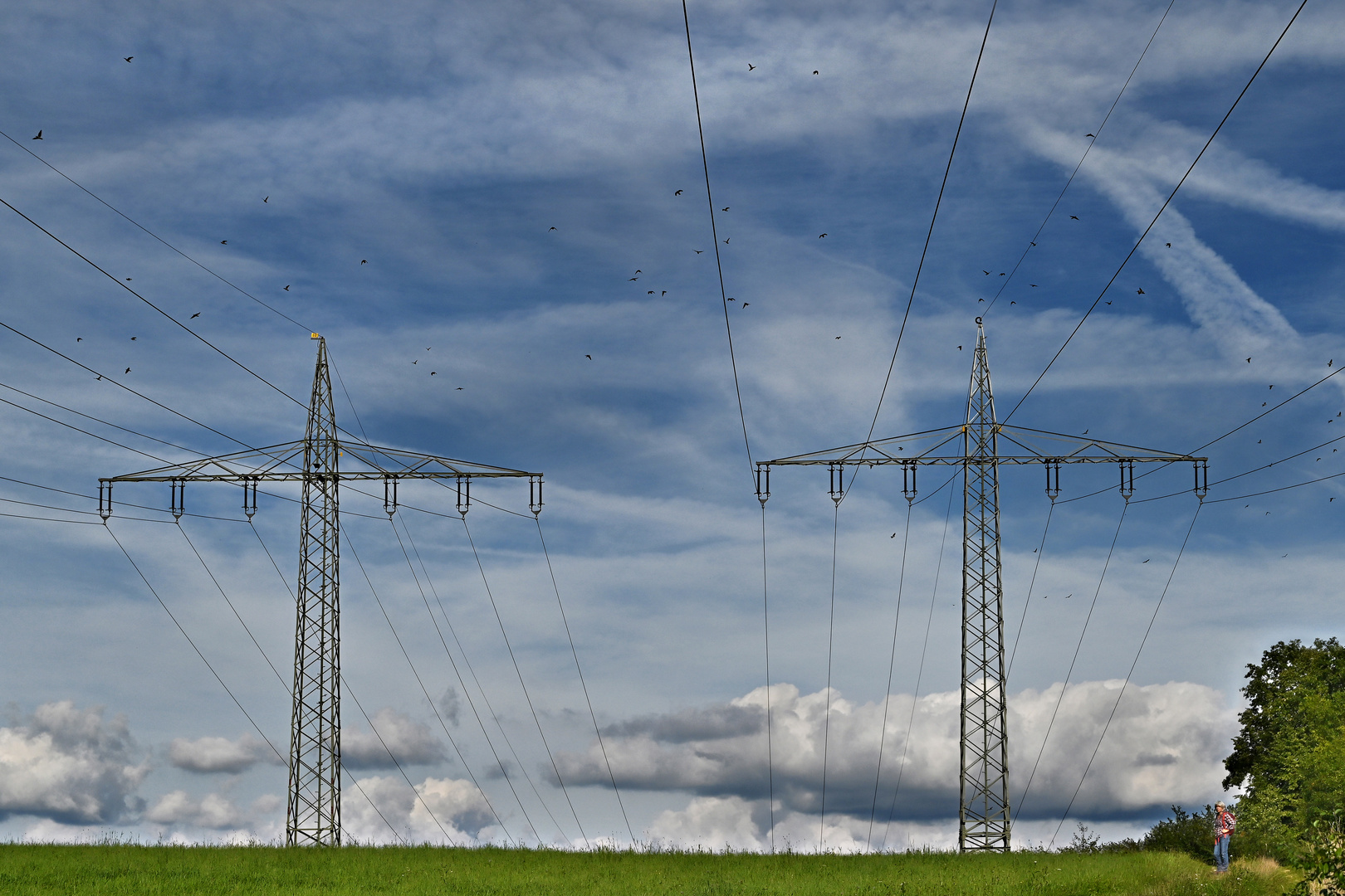 Übers Land geleitet Foto & Bild natur, landschaft, linien Bilder auf