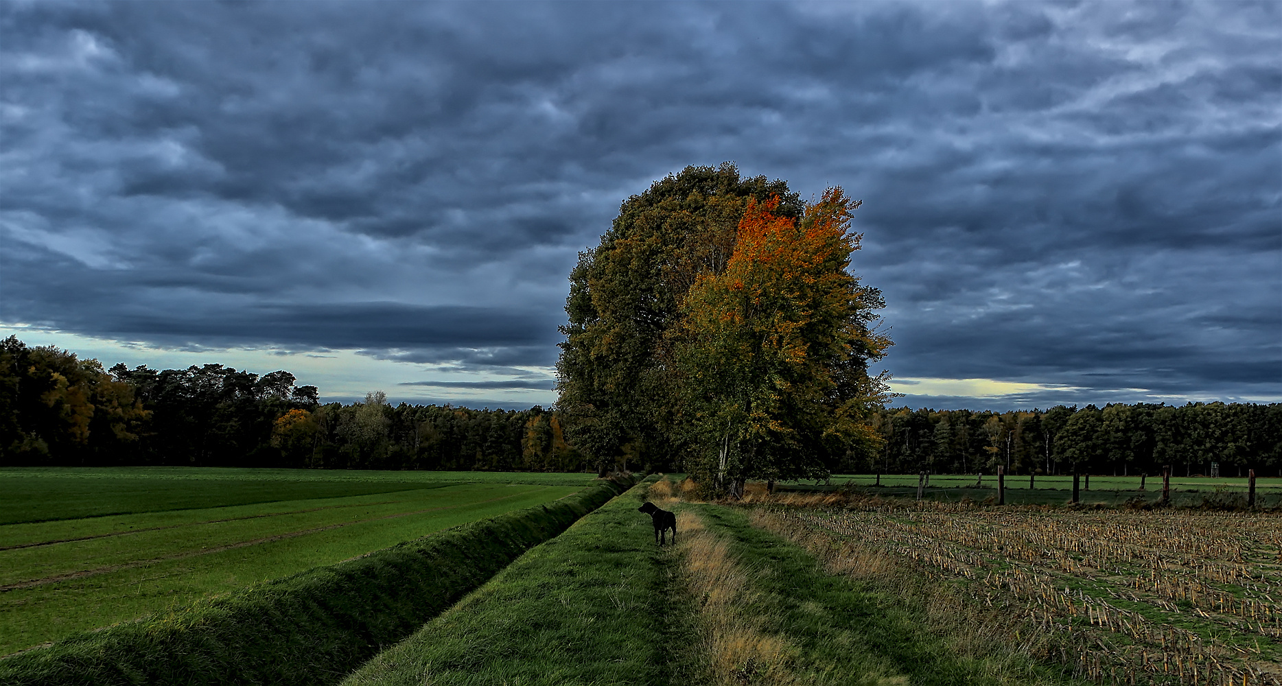 Übers Land laufen Foto & Bild landschaft, fotokunst, Äcker, felder & wiesen Bilder auf