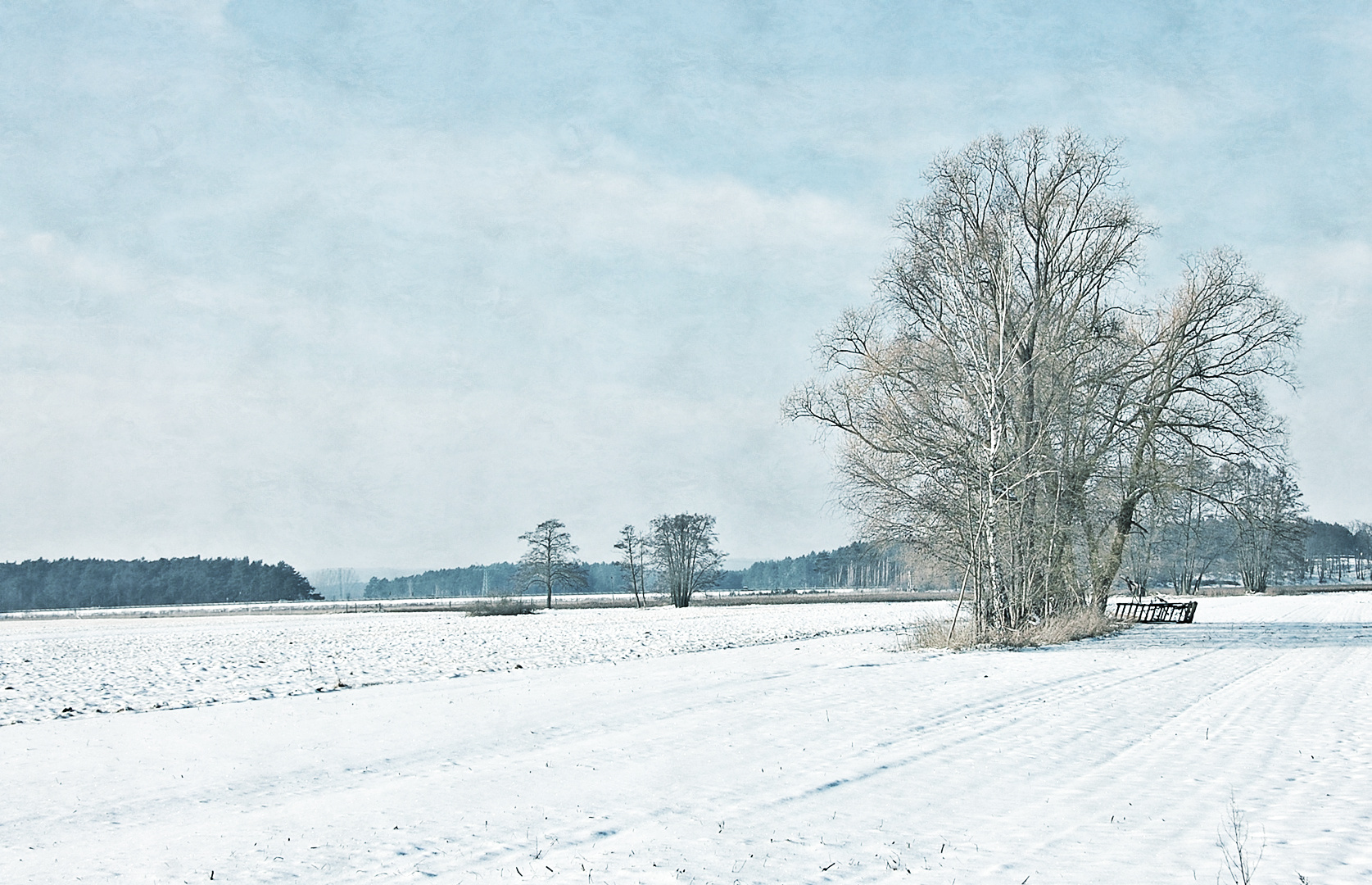 Übers schneebeglänzte Feld wandern wir, wandern wir  ...