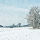 Übers schneebeglänzte Feld wandern wir, wandern wir  ...