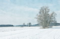 Übers schneebeglänzte Feld wandern wir, wandern wir  ...