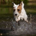 Übers Wasser fliegen