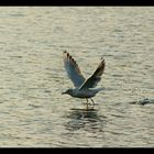 übers wasser gehen