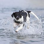 über's Wasser gehen.......