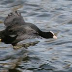 Übers Wasser gehen