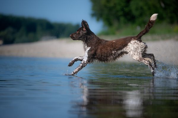 Übers Wasser geh´n