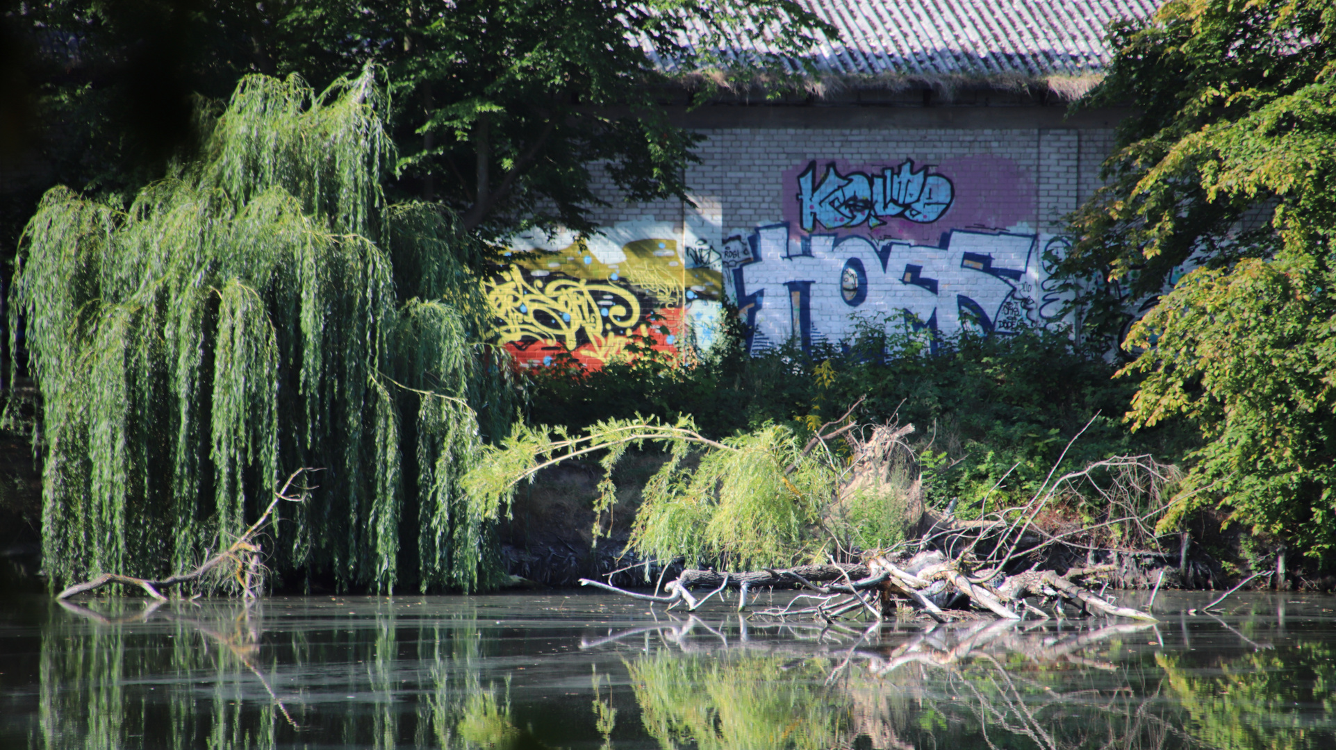 Über`s Wasser geschaut