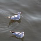 Übers Wasser gleiten zu Zweit