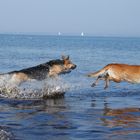 ... übers Wasser laufen...