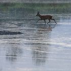 Übers Wasser laufen