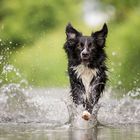 ...übers Wasser laufen...