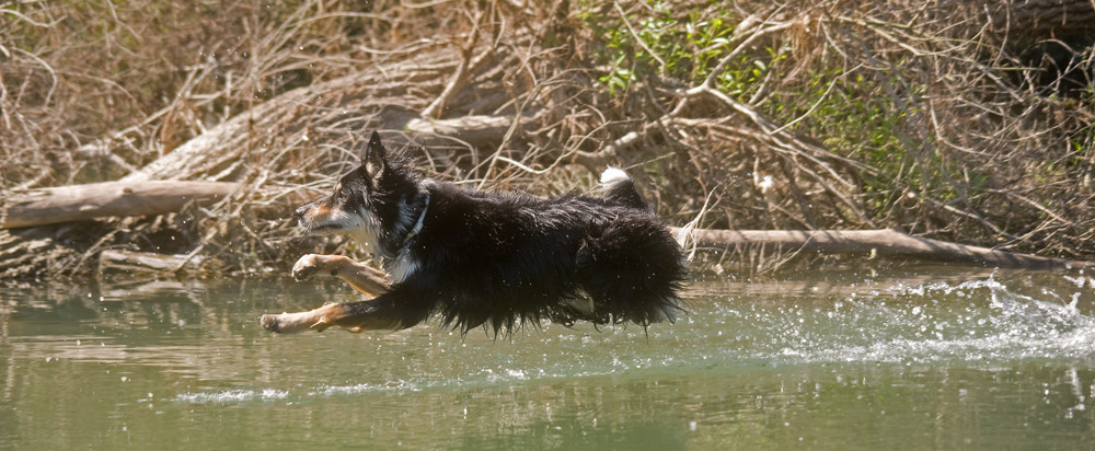 Übers Wasser laufen .....