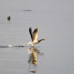 Übers Wasser laufen