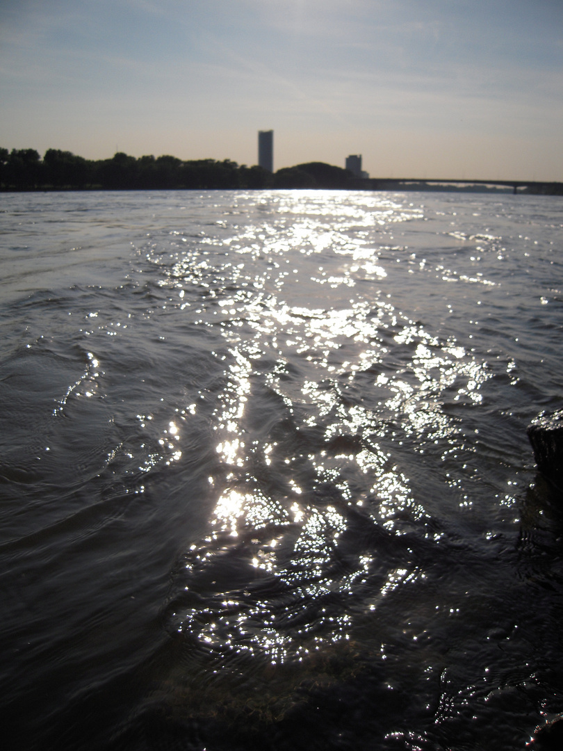 Übers Wasser nach Bonn