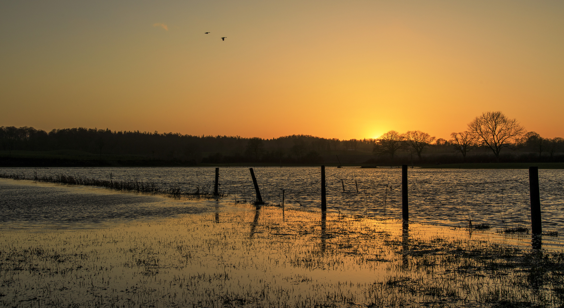 Überschwemmte Abendstimmung