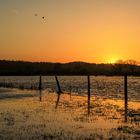 Überschwemmte Abendstimmung