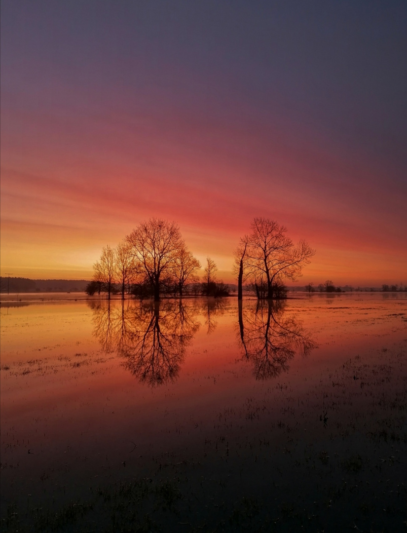 Überschwemmte Altmühlwiesen im Schein der Morgensonne 