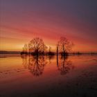 Überschwemmte Altmühlwiesen im Schein der Morgensonne 