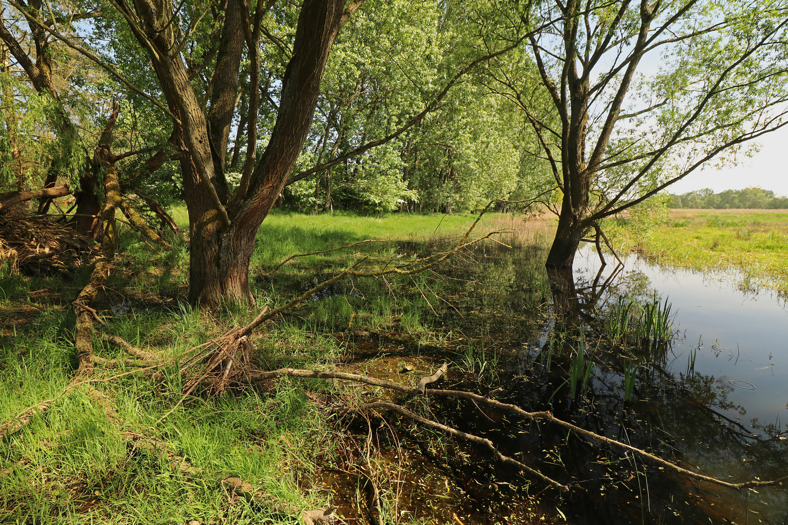 Überschwemmte Kirchenwiese