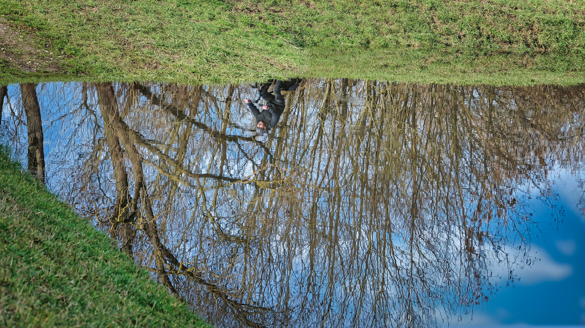 überschwemmte Rheinwiese