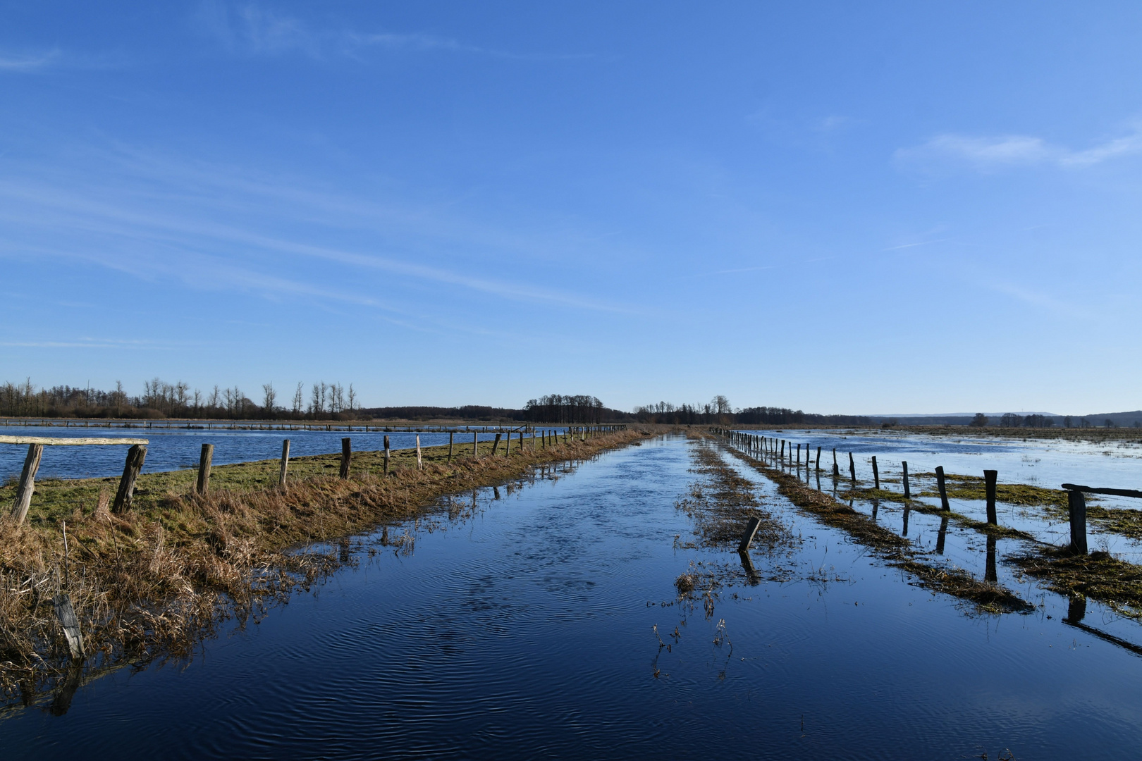 Überschwemmte Weiden