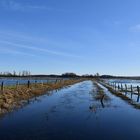 Überschwemmte Weiden