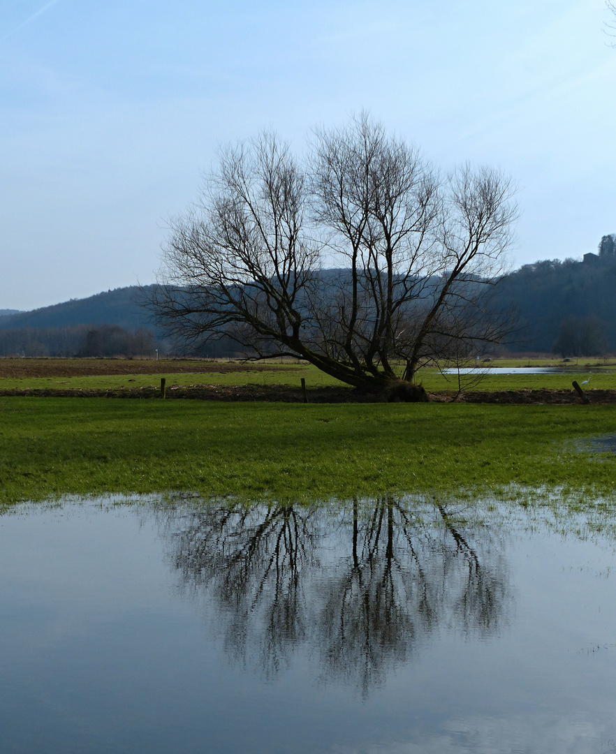 überschwemmte Wiese