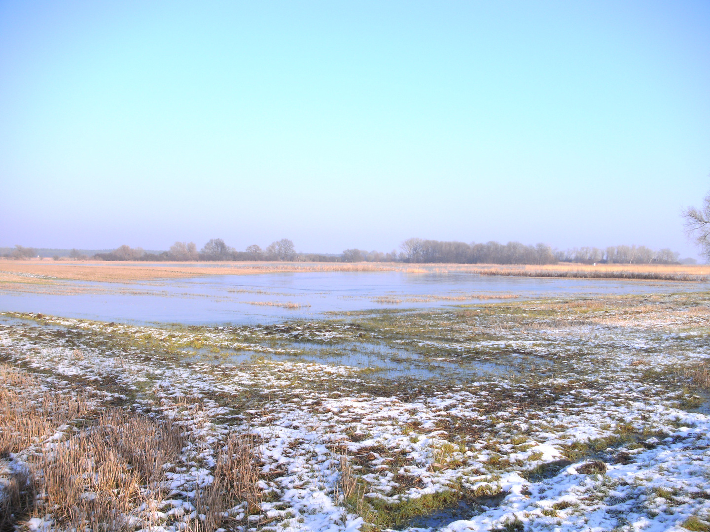 Überschwemmte Wiese im Bruch