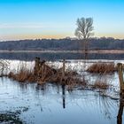 Überschwemmte Wiesen an einem Januarmorgen