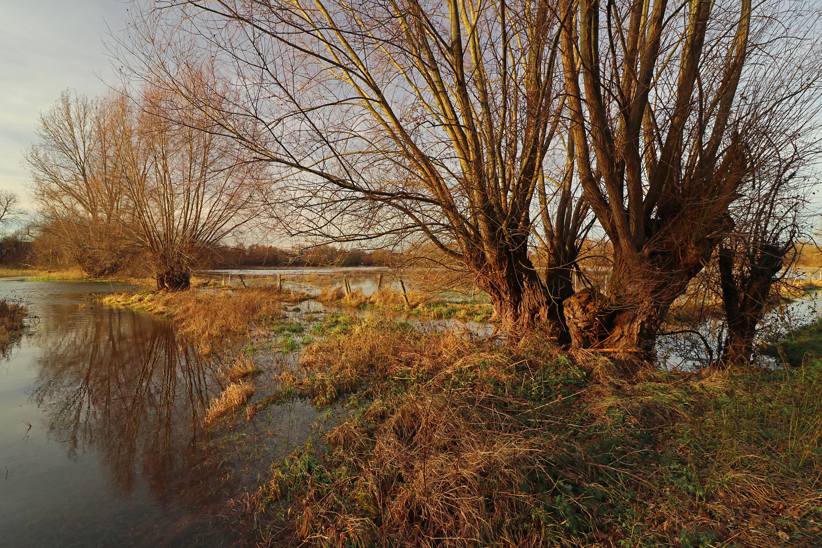 Überschwemmter Weidegrund