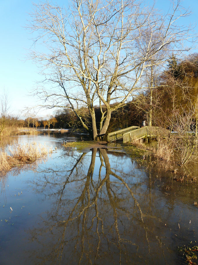 Überschwemmung