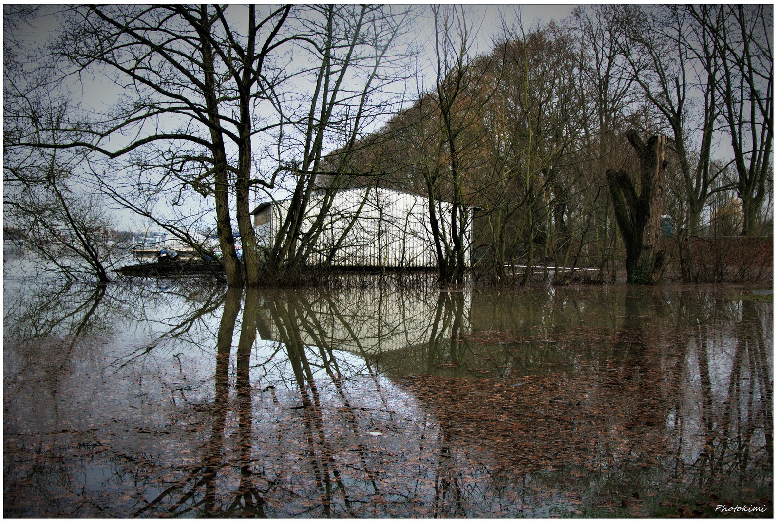 Überschwemmung am Rhein-Ufer (III)