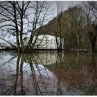 Überschwemmung am Rhein-Ufer (III)