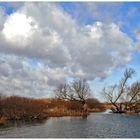 Überschwemmung an der Elbe