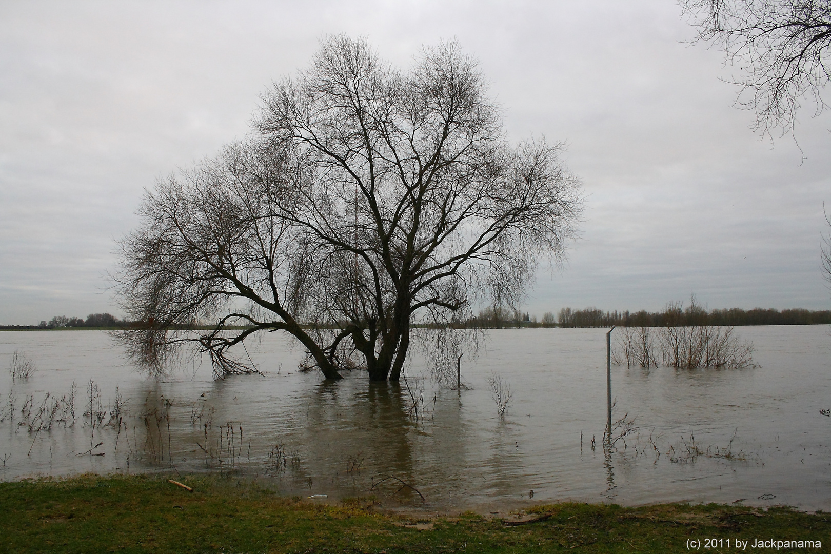 Überschwemmung der Wiese am Städt. Rheinbad in Wesel