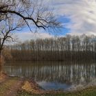 Überschwemmung in den Marchauen