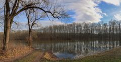 Überschwemmung in den Marchauen