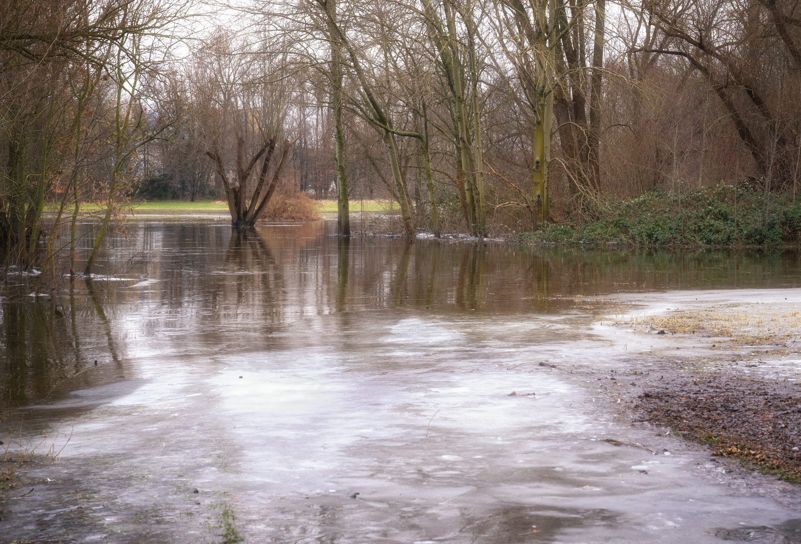 Überschwemmung - Ölper See mit Eisfläche